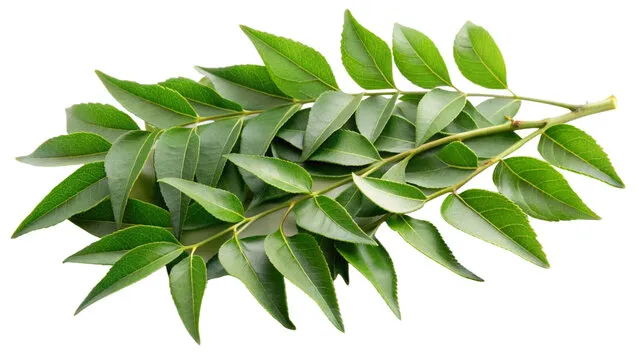 CURRY LEAVES(30 GM)